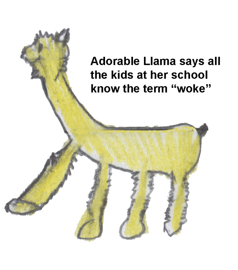 Adorable Llama says all the kids at her school know the term woke by Celia Randall Gresham